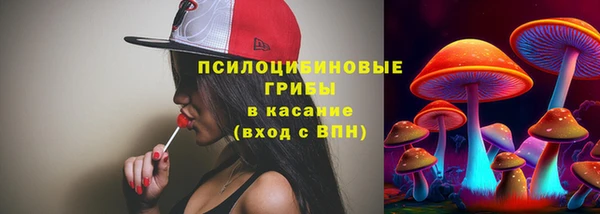 метадон Няндома
