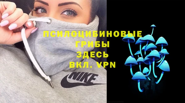 стафф Тавда