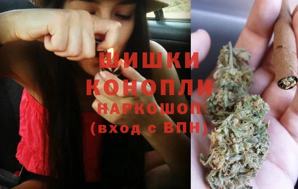 индика Пересвет